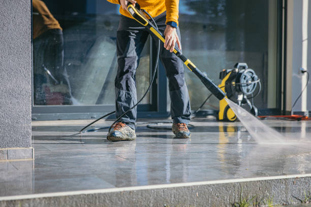 Best Solar Panel Cleaning  in The Villages, FL