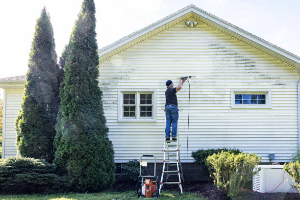Best Patio and Deck Pressure Washing  in The Villages, FL